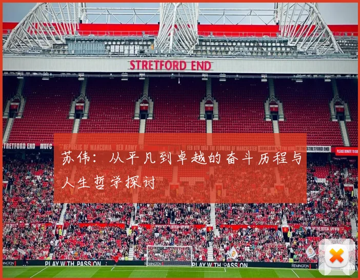 苏伟：从平凡到卓越的奋斗历程与人生哲学探讨