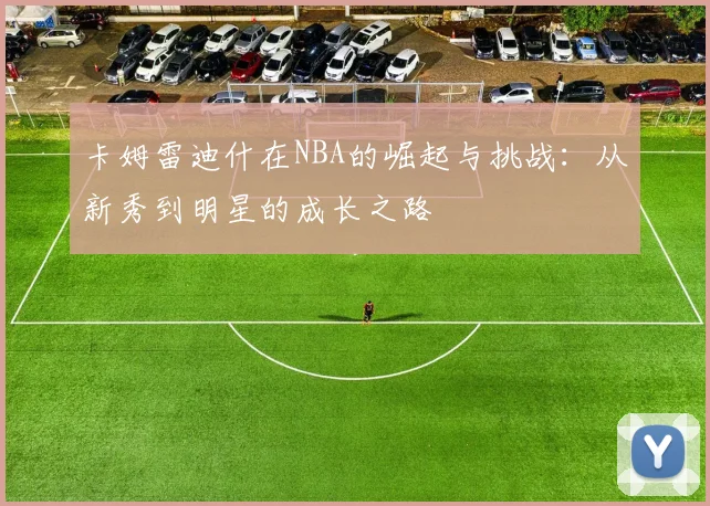 卡姆雷迪什在NBA的崛起与挑战：从新秀到明星的成长之路