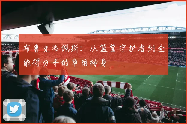 布鲁克洛佩斯：从篮筐守护者到全能得分手的华丽转身