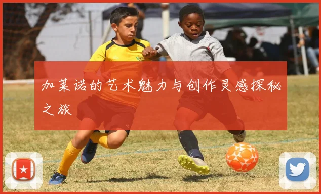 加莱诺的艺术魅力与创作灵感探秘之旅