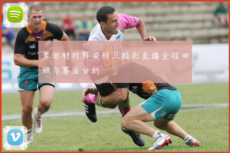 聚尔特对阵安特卫精彩直播全程回顾与赛后分析