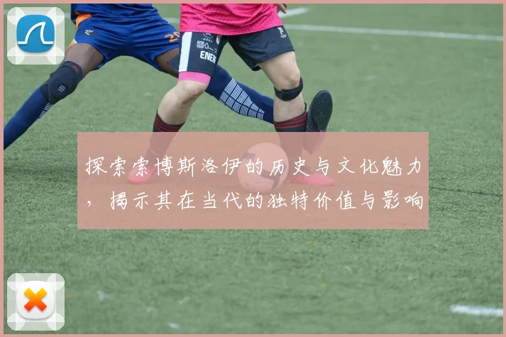 探索索博斯洛伊的历史与文化魅力，揭示其在当代的独特价值与影响力