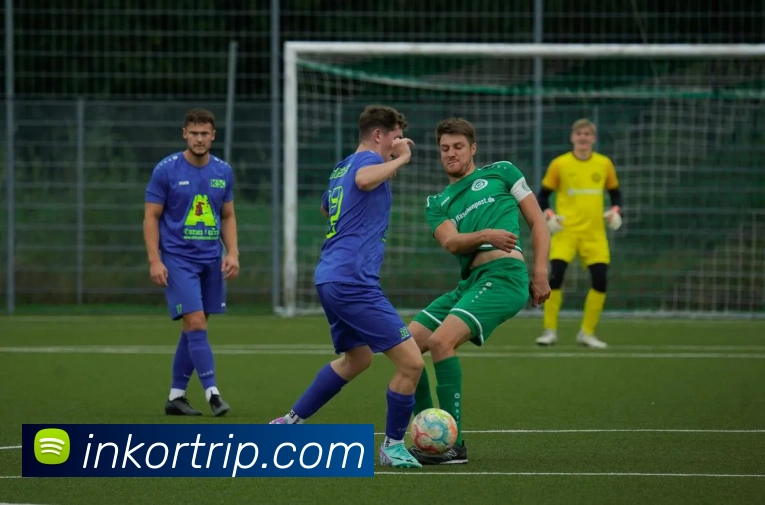 博鱼体育服务体系